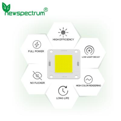 Cina La CC 20w ha condotto la sorgente luminosa solare bianca fredda leggera di alta luminosità delle perle in vendita