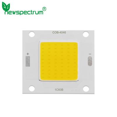 China DC COB Solar Led Module High Luminance Fast Heat Dissipation for sale