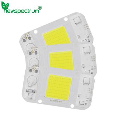 China 30W AC DC COB NO driver chip LED para DIY projétil crescer luz à venda