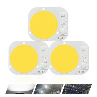 China Chip leichten Schlages LED Smarts IC hohen Leistung PFEILER Wechselstroms 220V LED der Modul-50W zu verkaufen