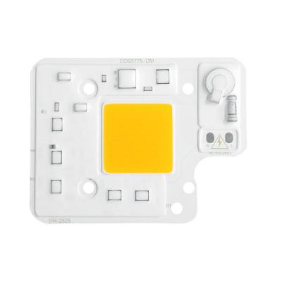 China Warmes weißes PFEILER LED Chip 50W LED Modul fertigte Logo With Driver On Board besonders an zu verkaufen