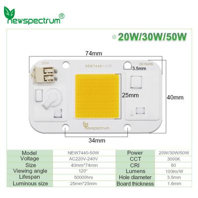 China Warmes weißes helles 50 Watt Pfeiler geführter Chip Energy Saving Design Superior imprägniern zu verkaufen