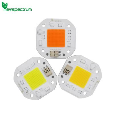 China Alto microprocesador de la salida 50W LED del lumen en venta