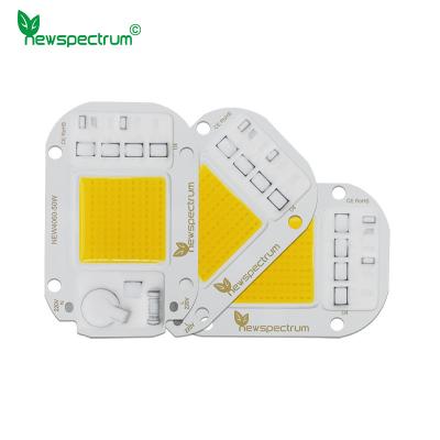 China Fluxo luminoso 250lm COB módulo LED 40mm * 60mm para soluções de iluminação de eficiência energética à venda