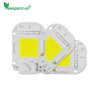 中国 20W 30W UV LED モジュール AC COB ドライブレス 屋外スポットライト 販売のため