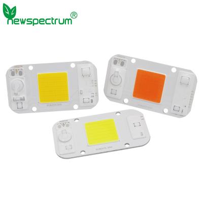 China AC220V AC LED Module for sale