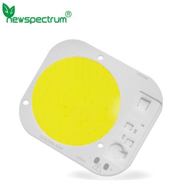 China a espiga Flip Chip Led 30W 50W de 20W 5000LM para projetores cresce a microplaqueta conduzida luzes da espiga à venda