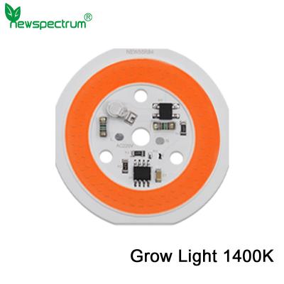 China 220V COB LED Module Driverless High Brightness Warm White Led Module for sale