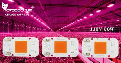 China 220V AC de LEIDENE Module Geen de Binneninstallatiezaailing van Lassenchip ac cob led for kweekt Lichten Te koop