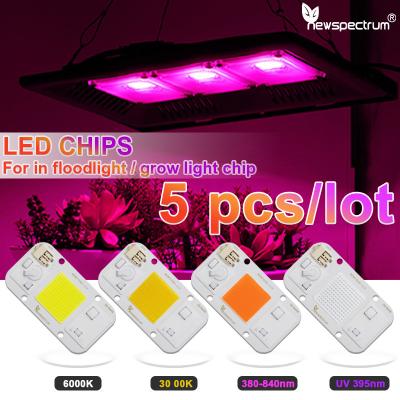 China 110V Led Cob Modul ohne Treiber LED Matrix Chips kaltweiß zu verkaufen