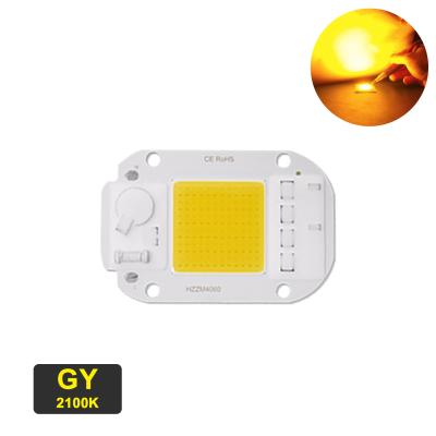 China Driverless COB LED Module COB Chip Power 30W Led Grow Light Chip for sale