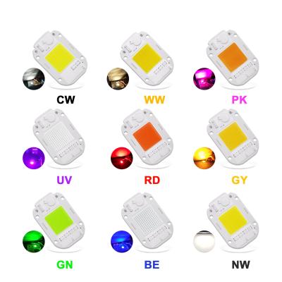 중국 쿨 화이트 RGB led 모듈 30W 220V 주도하는 COB 칩 색 온도 6500K 판매용