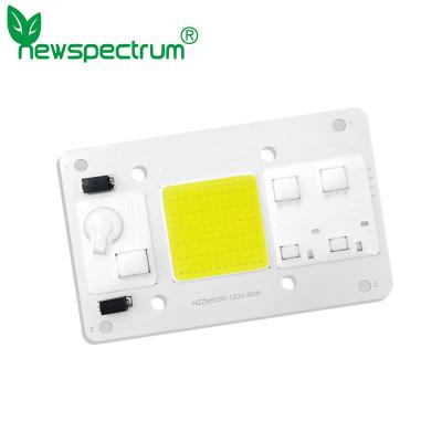 China Custom Power AC COB LED Grow Chip 80W For Flower Seedling Plant Light for sale