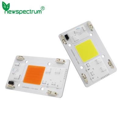 China Espectro completo de la MAZORCA LED 80W de la CA de AC110V sin terminal que suelda en venta