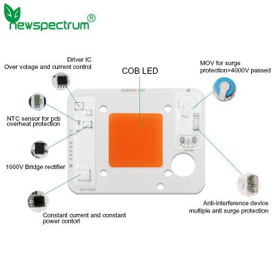 중국 탑승해 있는 드라이버와 AC110V 50W LED 칩 핑크색 ODM led 모듈 COB 판매용