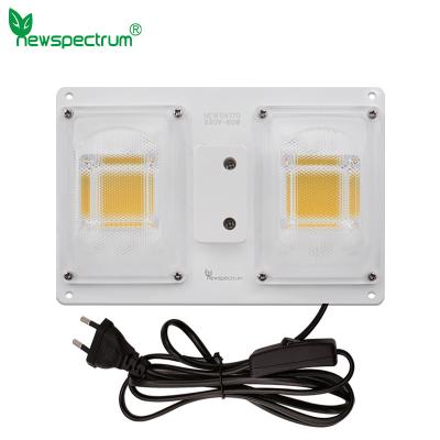 Chine lampe d'usine du module LED de guide optique de 220V 3500K pour les fleurs d'intérieur de Planth à vendre