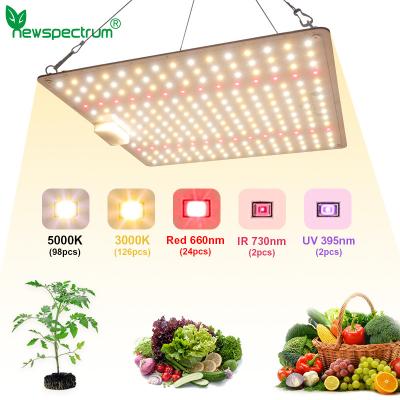 China luz completa del crecimiento del espectro LED del tablero de 100W LED Quantum para el invernadero interior en venta