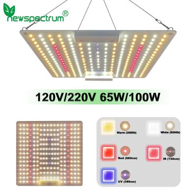 China O espectro completo 100w conduziu a lâmpada fina leve AC100V da placa do quantum nenhum motorista da cintilação à venda