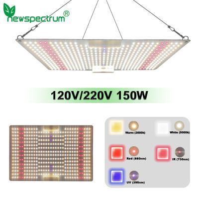 China El LED interior crece el ahorro de la energía de las luces 650W 5000K para las flores de las plantas en venta