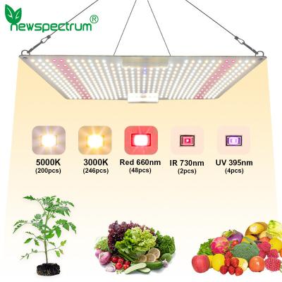 Chine le conseil 150w de 5000K LED Quantum élèvent 660nm léger pour des fleurs d'usines à vendre