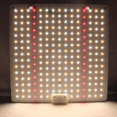 China 150W 65 Watt de luz de planta de crecimiento fitolámpara para plantas de invernadero en venta