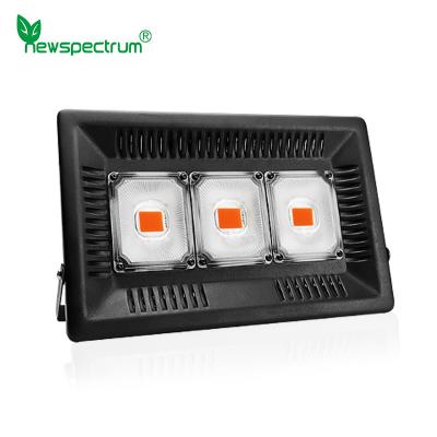 Cina 100w ha condotto le luci progressive Phytolamp che della pannocchia lo spettro completo non non diffonde fan in vendita