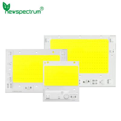 China AC110V 220V DOB High Power Cob Light Source Led Cob Chip 100w for sale