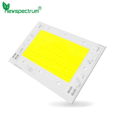 China 100w 150w Wechselstrom-Pfeiler führte Chip Linear Driver Free-PFEILER Lichtquelle zu verkaufen