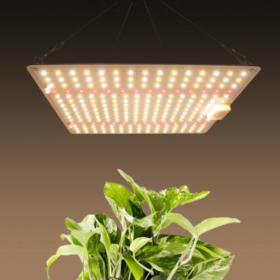 China Voller Chip LED des Spektrum-150W des Gartenbau-SMD wachsen Lichter für Zimmerpflanzen zu verkaufen