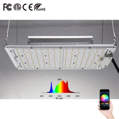 中国 効率的な 329pcs サムスン LED 量子ボード 照明の必要性 販売のため