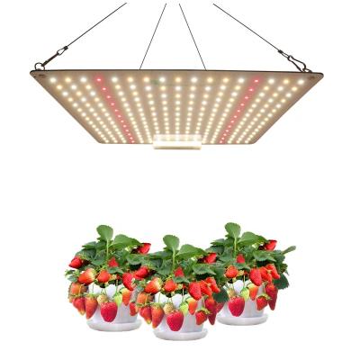 中国 LM301B サムスン LED 量子ボード AC100-277V 544pcs LED 販売のため