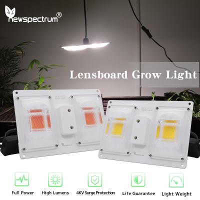 China Geavanceerde Aluminium COB Grow Lights voor professionele teelt Te koop