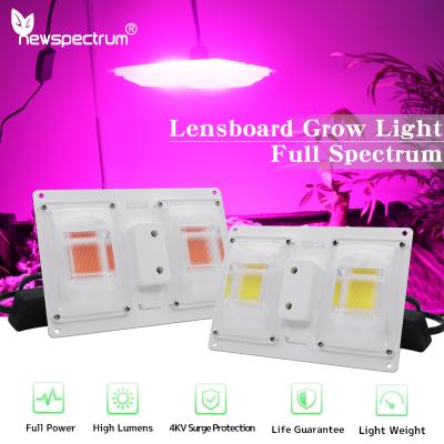 China Hoge helderheid LED-chip 110V 220V 50W LED-groeiplantenlichten Volledige spectrum voor uitzonderlijke verlichtingsprestaties -20- 50°C Te koop