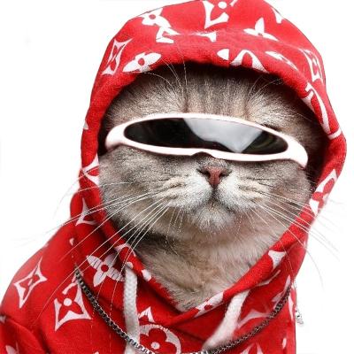 China New Viable Glasses Cat Windproof Sunglasses Reflection Pet Eye Wear Glasses For Small Dog Cat Pet Photography Accessories PGS05 for sale