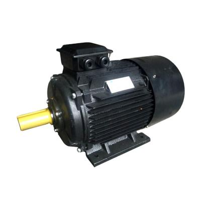 China Totally enclosed Y2 series ac motor factory supply 380v 50Hz/60Hz 3 phase asynchronous electric motor for sale