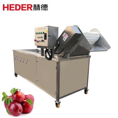 China Multifunctional vegetable disinfection ozone snack plant washing machine vegetable washing machine sterilization for sale