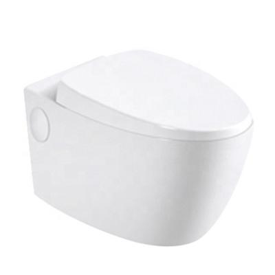 China Modern China Sanitary Ware Cistern Design Hidden Ceramic Wall Mounted Toilet for sale