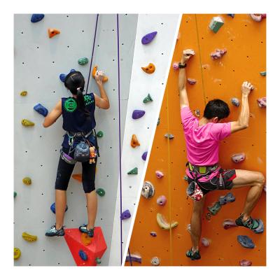 China Outdoor Kids Play Rock Climbing Wall Stone Hand Holds Rock Climbing Holds For Adults for sale