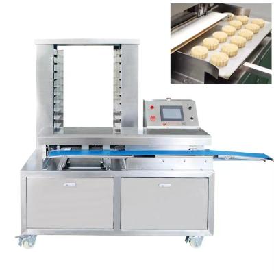 China Automatic Vegetable Processing Plant Food Arranging Machine Pastry Plate Putting Machine Tray Alignment Machine for sale