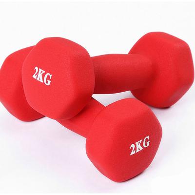 China Factory Direct Use Logo Custom Neoprene Or Vinyl Dumbbells Home Gym Fitness Equipment For Women for sale