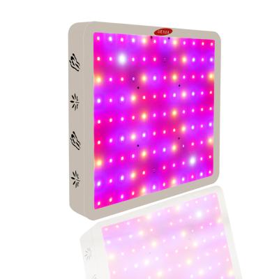 China Seed Starting Horticulture 300W Led Grow Lights Sunlike Led Grow Light Panel Bright Red White Blue Body Lamp LED Grow Light for sale