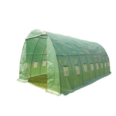 China H200xW300xL800 Factory Supply Easily Assembled Greenhouse Garden Walk In Greenhouse Manufactures Outdoor Green House for sale