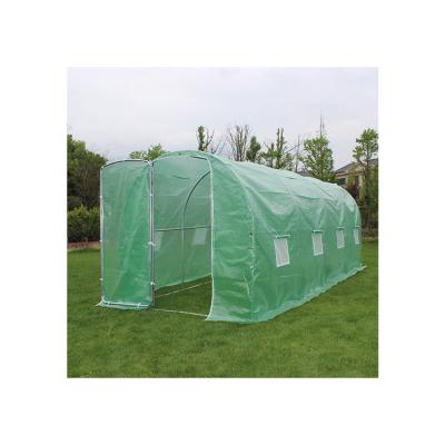 China Easily Assembled H200xW300xL400 Tuneel Greenhouse Garden With Low Price Walk In Greenhouse Tent for sale