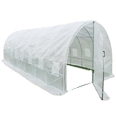 China Easily Assembled 8x3x2M Polytunnel Garden Greenhouse Fully Galvanized Steel With Door Walk In Greenhouse Garden House for sale