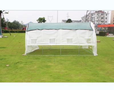 China Metal tube + PE cover summer sunnet 4X3X2 tunnel greenhouse garden buildings exterior for sale