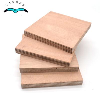 China Office Building Qinge 10mm Okoume Faced Commercial Plywood For Furniture Shanghai FIRST-CLASS 5 1*20GP Indoor SINGER E0 Years for sale