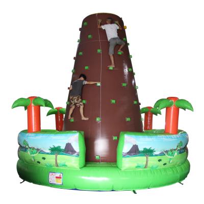 China Attractive Inflatable 0.55mmPVC Rock Climbing, Inflatable Land Climbing Wall Adult for sale