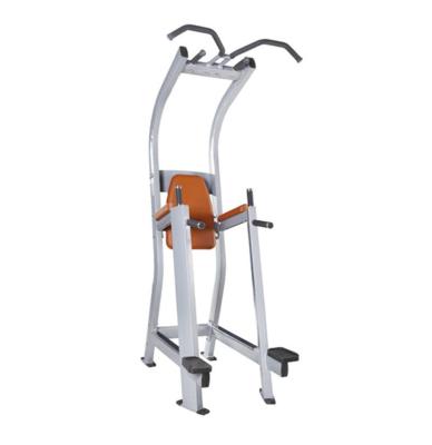 China Commercial Use Fitness Equipment China Gym Chin-Dip Leg Raise (Big Tube) in Factory Price for sale