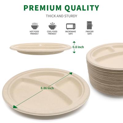 China waterproof & newcomer oil-proof CAPA biodegradable round dish food gift package non-toxic and sanitary disposable tableware 9 inch tableware for sale