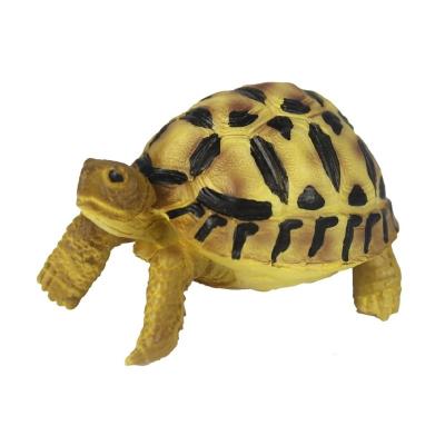 China NOMOY PET Statue Small Viable Star Indian Turtle Resin Model Decoration A2 for sale